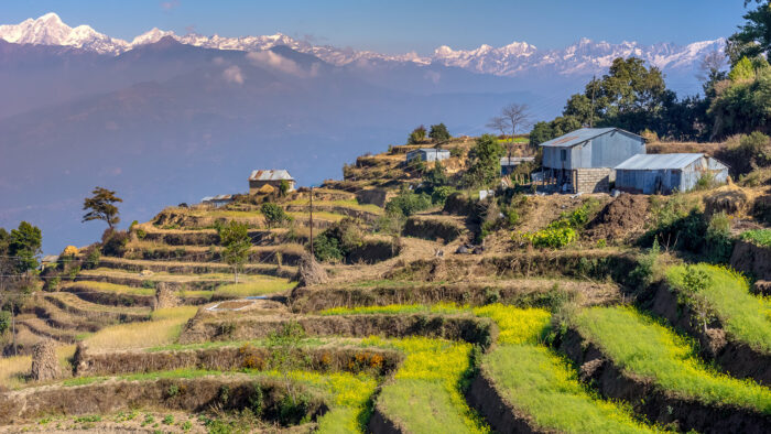 Himalayan Escape: Culture, Peaks, Peace, Yoga & Meditation - Image 7