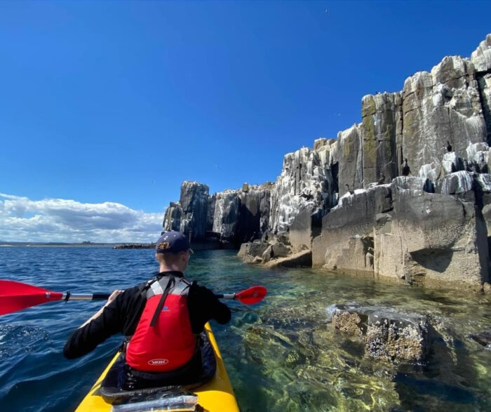 New for 2025: Sea Kayaking Adventure to the Farne Islands