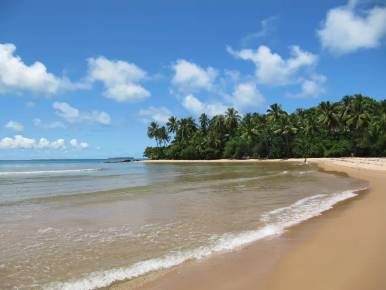 Madagascar: The Lost World Expedition