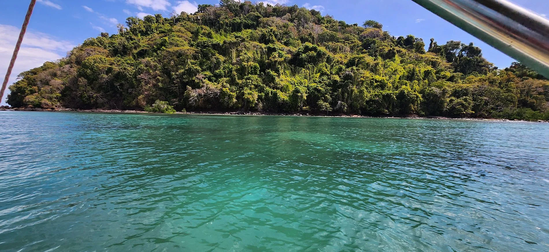 A forested island across clear turquoise water, seen from a boat